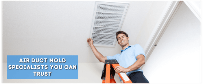 Air Duct Mold Removal in Lawrenceville GA