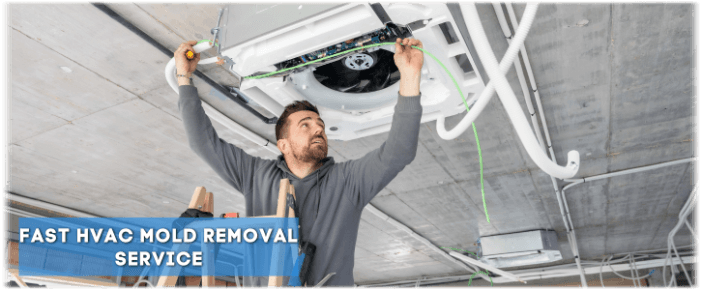 HVAC Mold Removal Lawrenceville GA